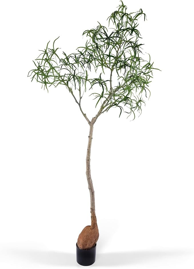 6.5FT Queensland Bottle Tree, Sculptural Faux Tree for Japandi & Wabi-Sabi Interiors, Premium Sil... | Amazon (US)