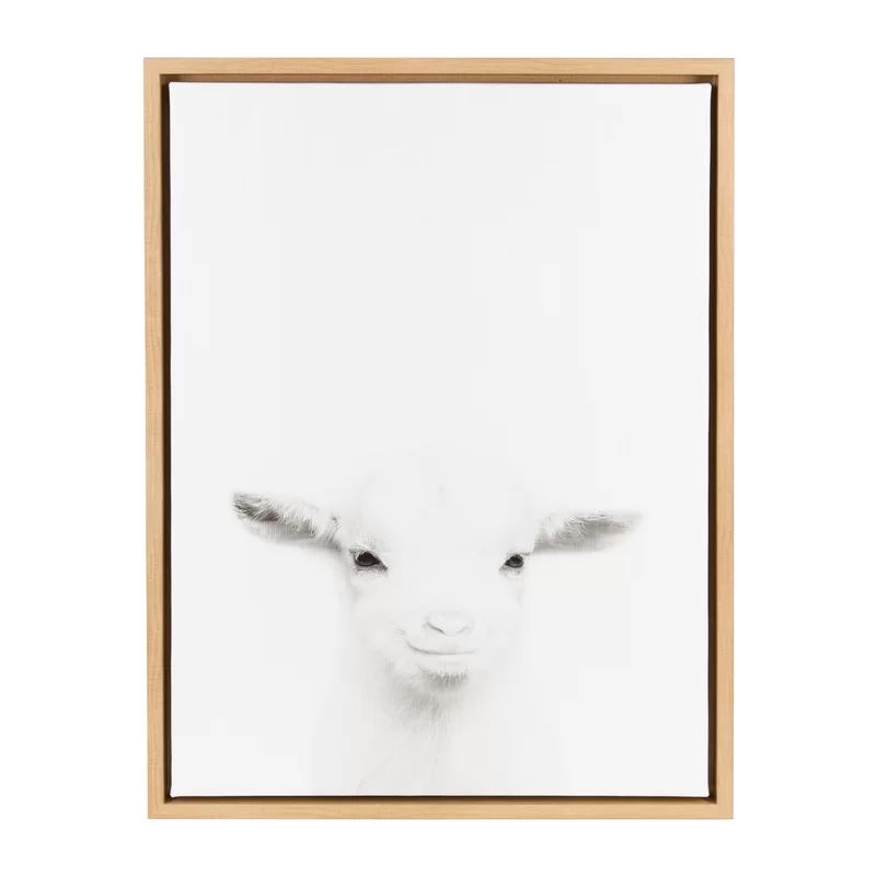 'Sylvie Baby Goat Black and White Portrait' Framed Photographic Print on Canvas | Wayfair North America