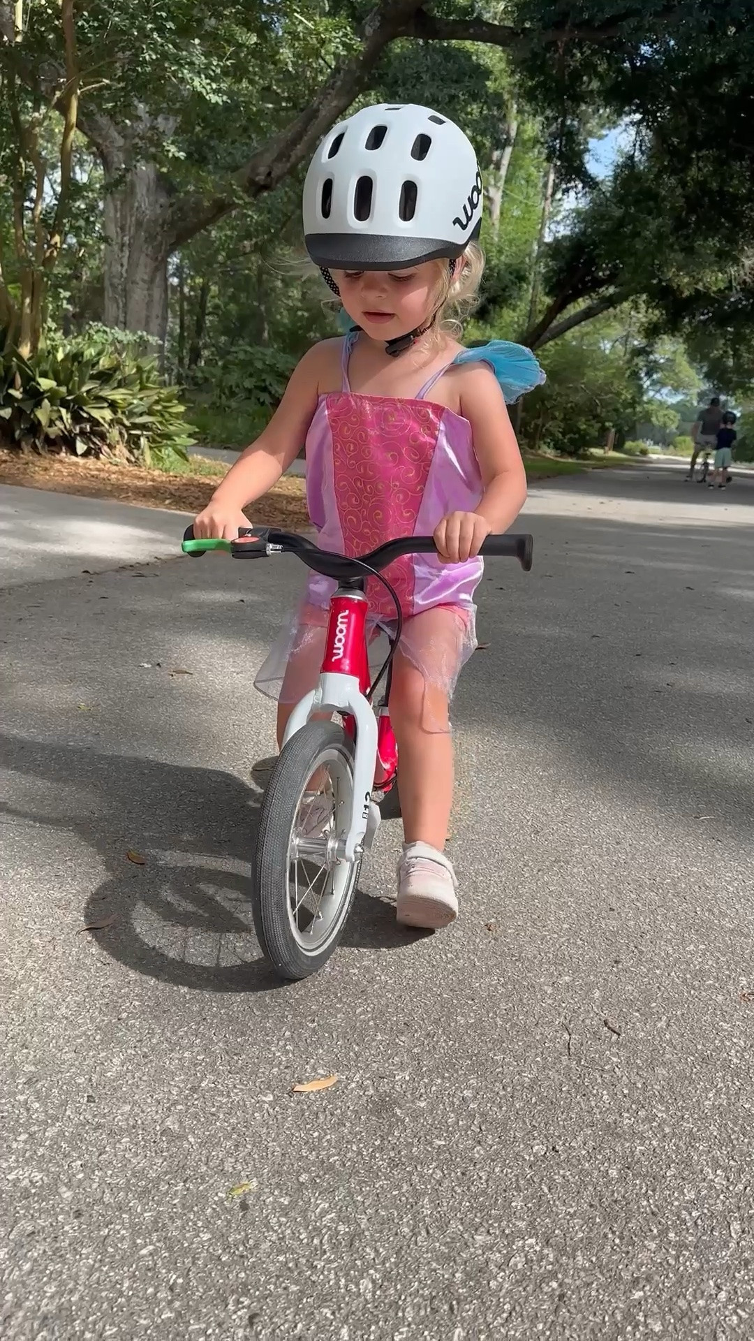 Our favorite bikes to learn on!