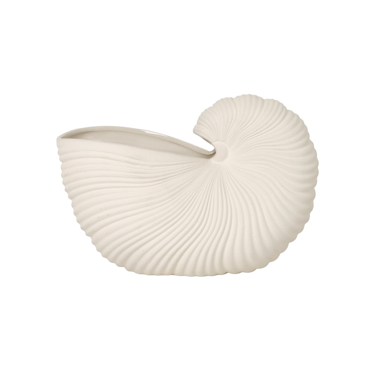 Shell Muschel Topf von ferm Living | Connox | Connox DE