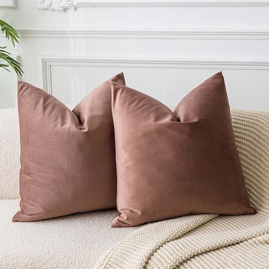 JUSPURBET Jam 24x24 Velvet Throw Pillow Covers Set of 2,Decorative Solid Soft Cushion Cases for C... | Amazon (US)