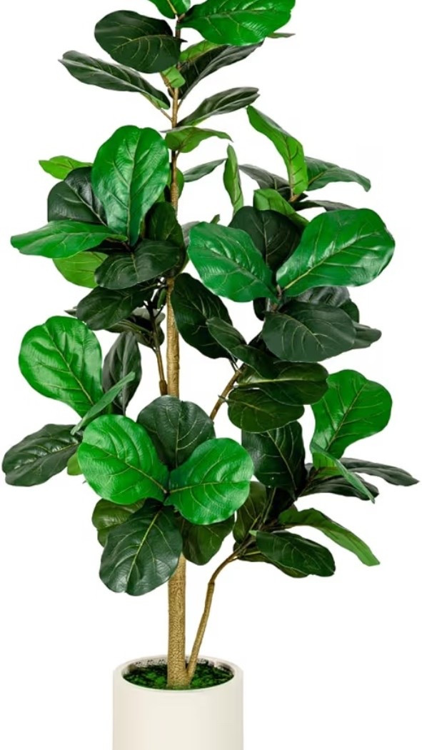 Fiddle Leaf Fig Tree- 5 Ft

Faux fiddle plant perfect for home office, porch or anywhere in home.

Currently on sale for Black Friday!

#blackfridaydeals #amazondeals

#LTKGiftGuide #LTKCyberWeek #LTKHome