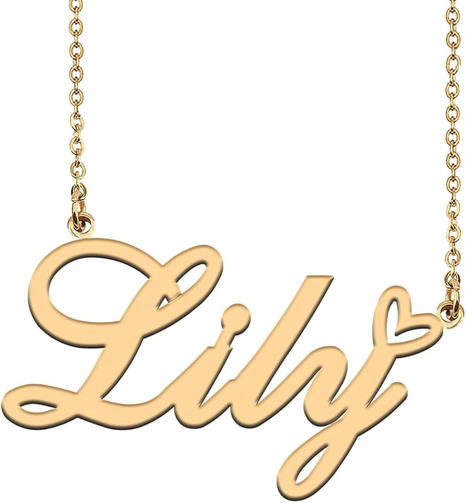 HUAN XUN Customized Custom Made Any Name Necklace for Women Girls in Gold Silver | Amazon (US)