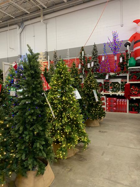 Christmas Trees at Home Depot

#LTKHolidaySale #LTKSeasonal #LTKHoliday