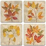 CoasterStone Set-November Leaves-Autumn Themed Absorbent Drink Coasters, Large 4.25 Inch Width, Fall | Amazon (US)