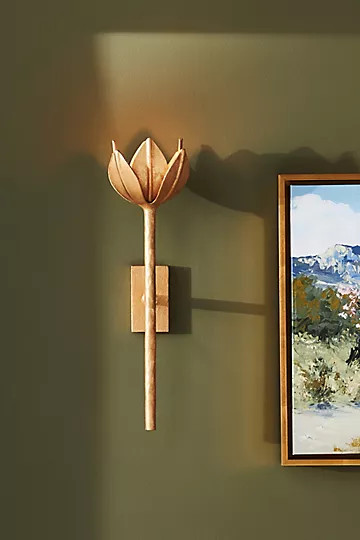 Alberto Sconce | Anthropologie (US)