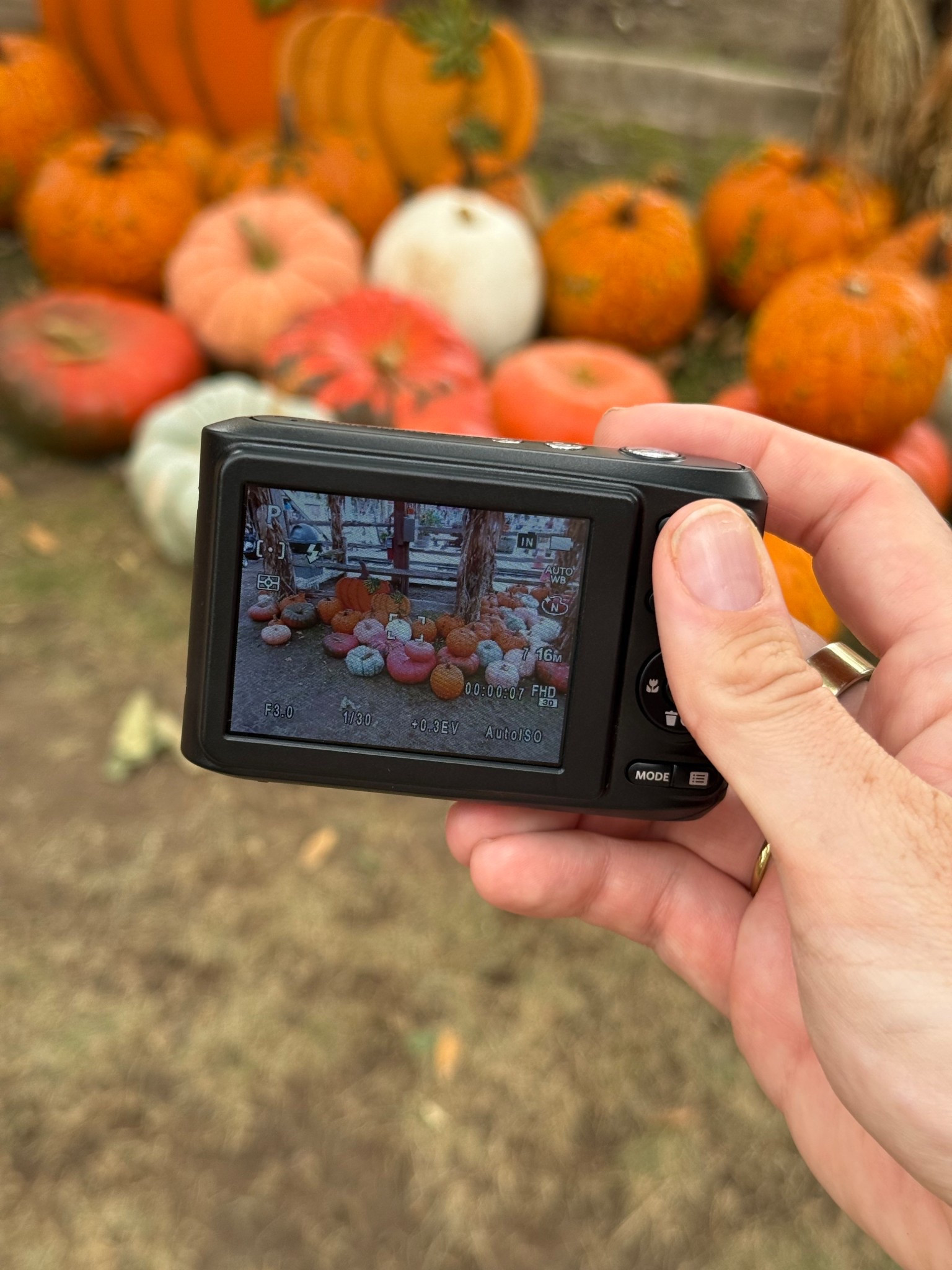 Only $120! In love with this little digital camera 

#LTKHome #LTKTravel #LTKSeasonal