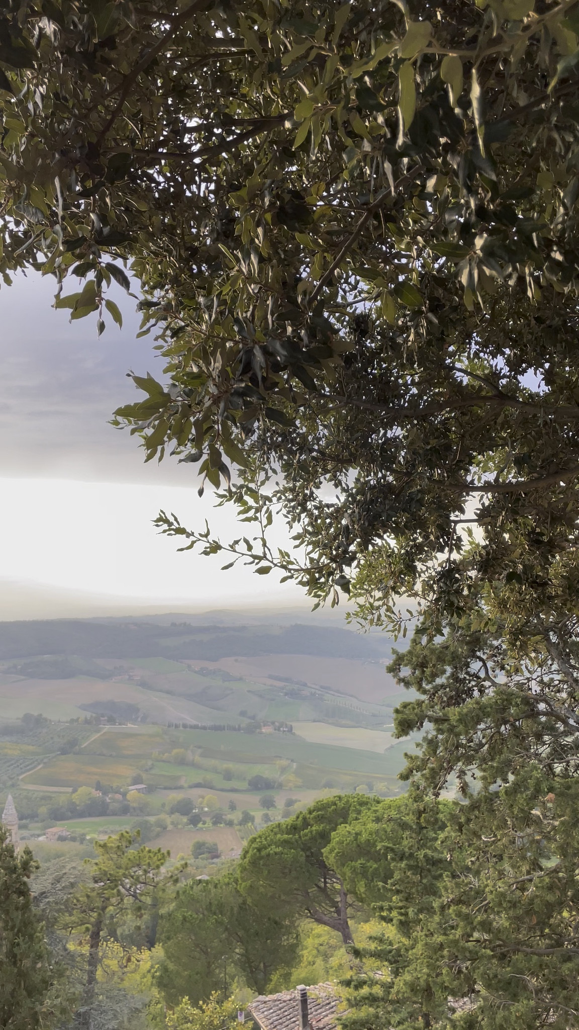 Alo SAME

#LTKActive #LTKdayinmylife #LTKSaleAlert