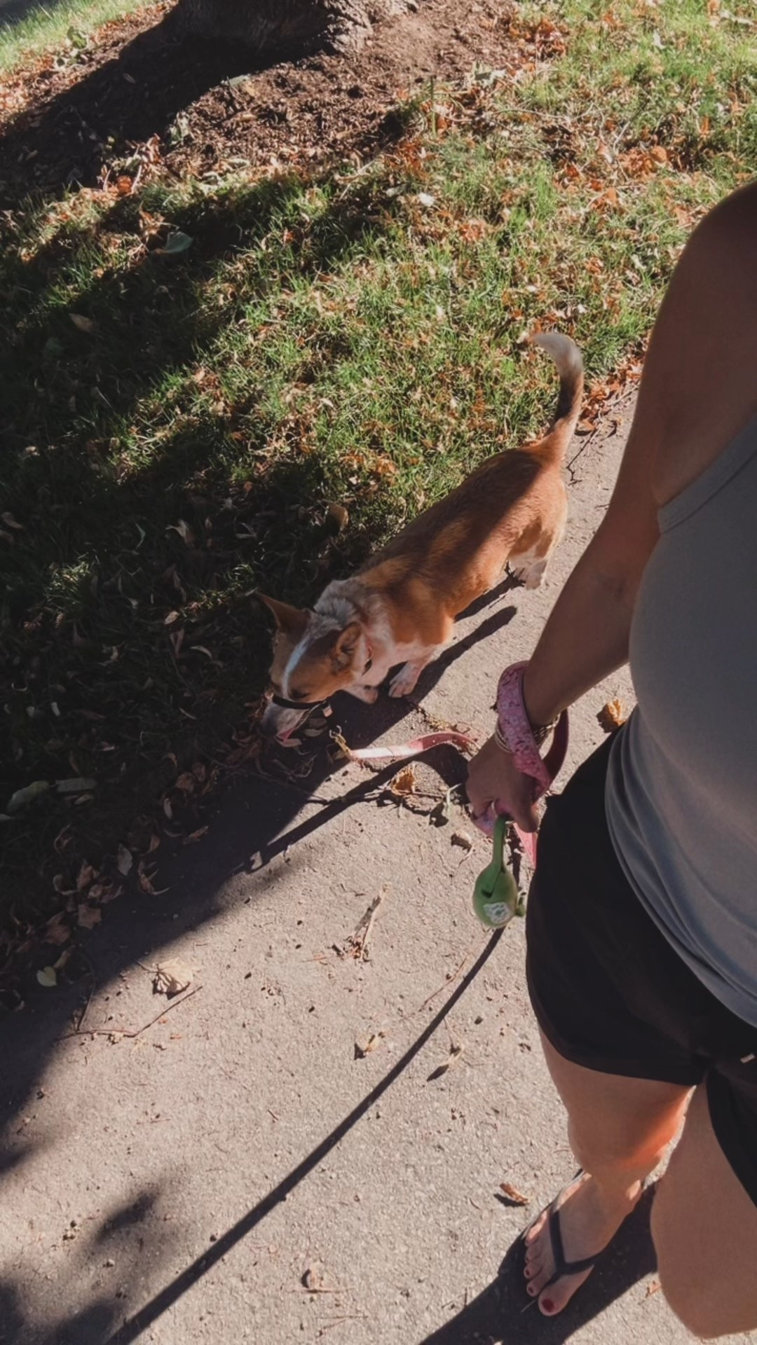 Walk fit

#LTKover50style #LTKcanada #LTKfitness