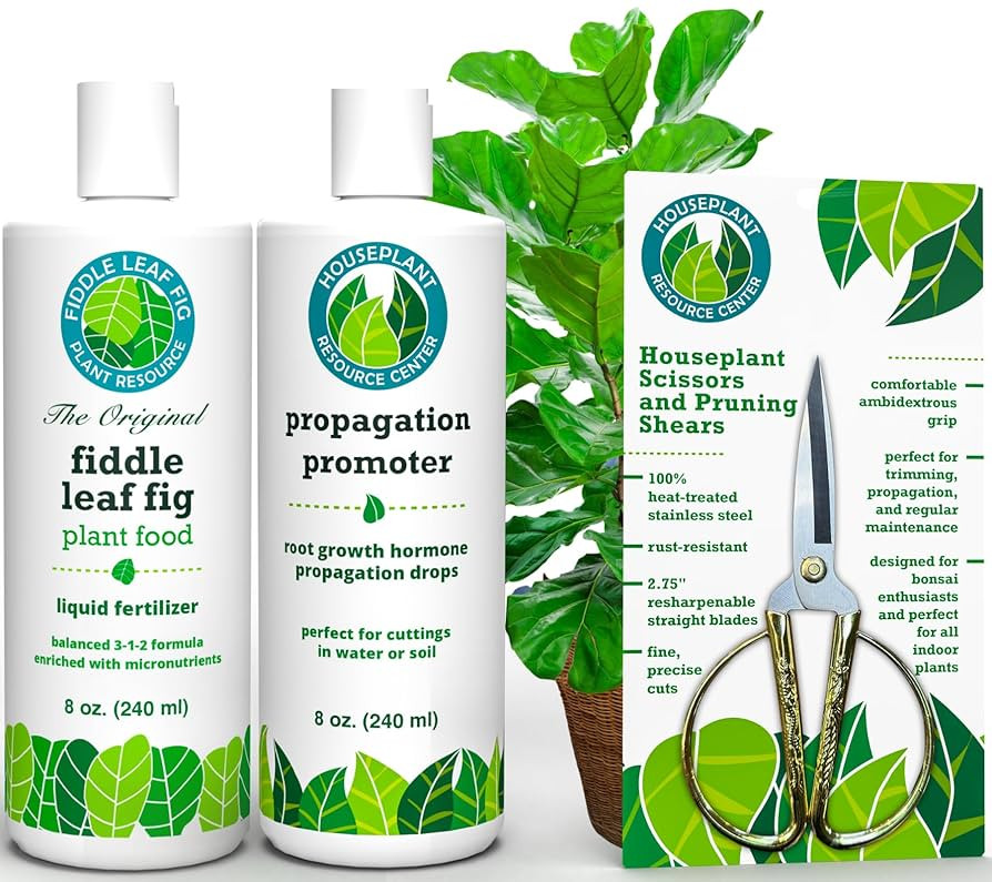 Fiddle Leaf Fig Notching Bundle | Amazon (US)