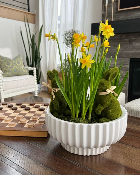 The white planter for my bunny daffodil spring arrangement is back in stock for shipping! Run! 

Easter, spring decor, floral, flowers, planter pot

#LTKhome