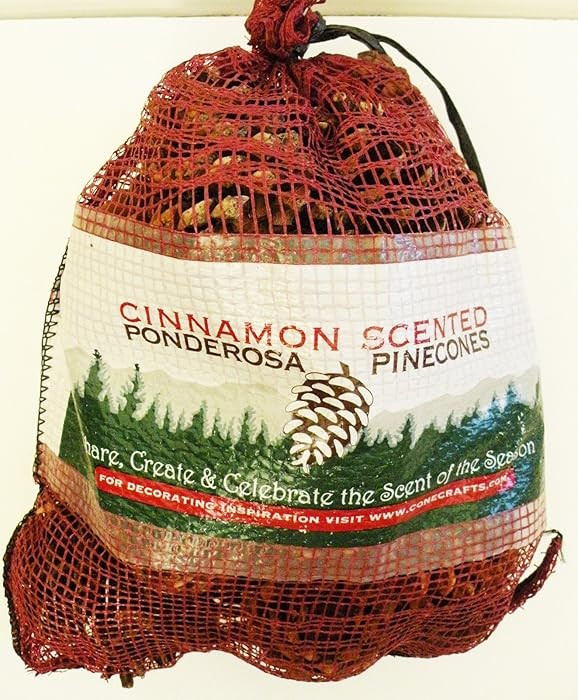 Cinnamon Scented Ponderosa Pinecones | Amazon (US)
