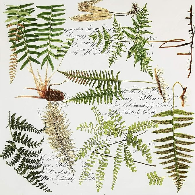 Colored Paper Napkins, 20 Count Shabby Chic Napkins for Wedding, Dinner Tea Party Shower (Fern ... | Amazon (US)