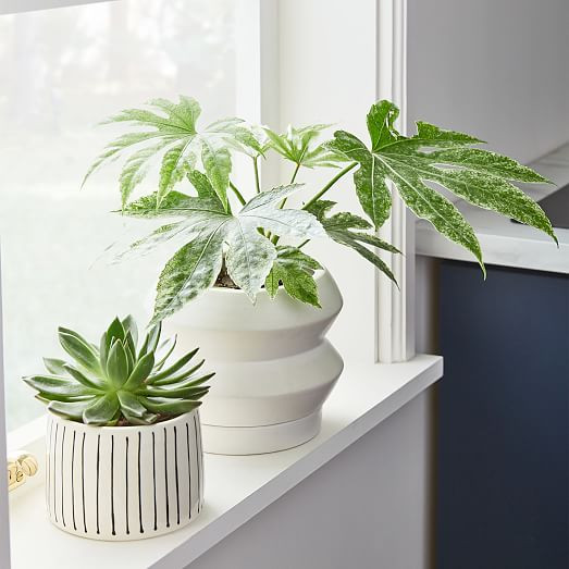 Totem Tabletop Indoor/Outdoor Planters | West Elm (US)
