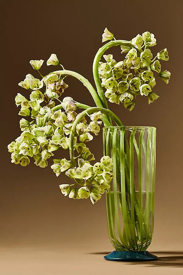 Fraya Vase | Anthropologie (US)