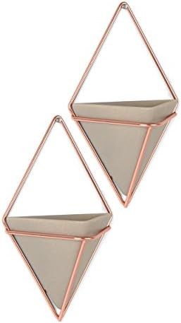 Umbra Trigg Hanging Planter Vase & Geometric Wall Decor Containers-for Succulents, Air, Mini Cact... | Amazon (US)