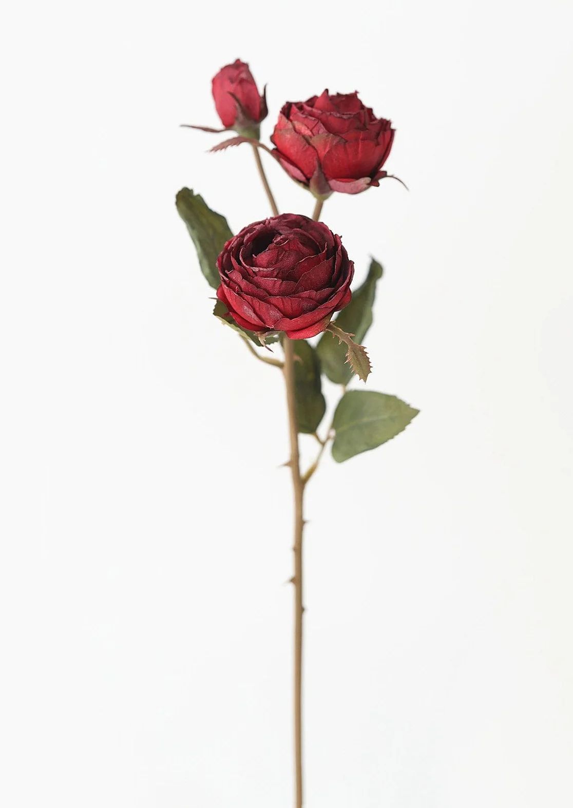 Burgundy Faux Dried Roses with Bud - 21" | Afloral (US)