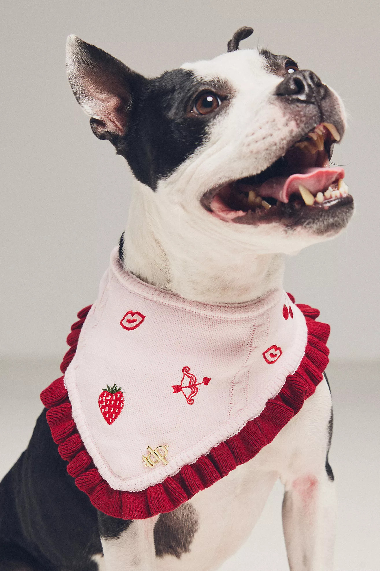 The Deluxe Pup Valentine's Day Pet Bandana | Anthropologie (US)