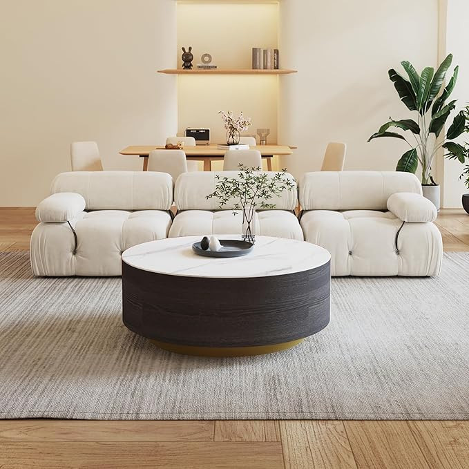 Sdorens Modern Round Coffee Table with 2 Drawers, Sintered Stone Tabletop and Golden Base, Center... | Amazon (US)