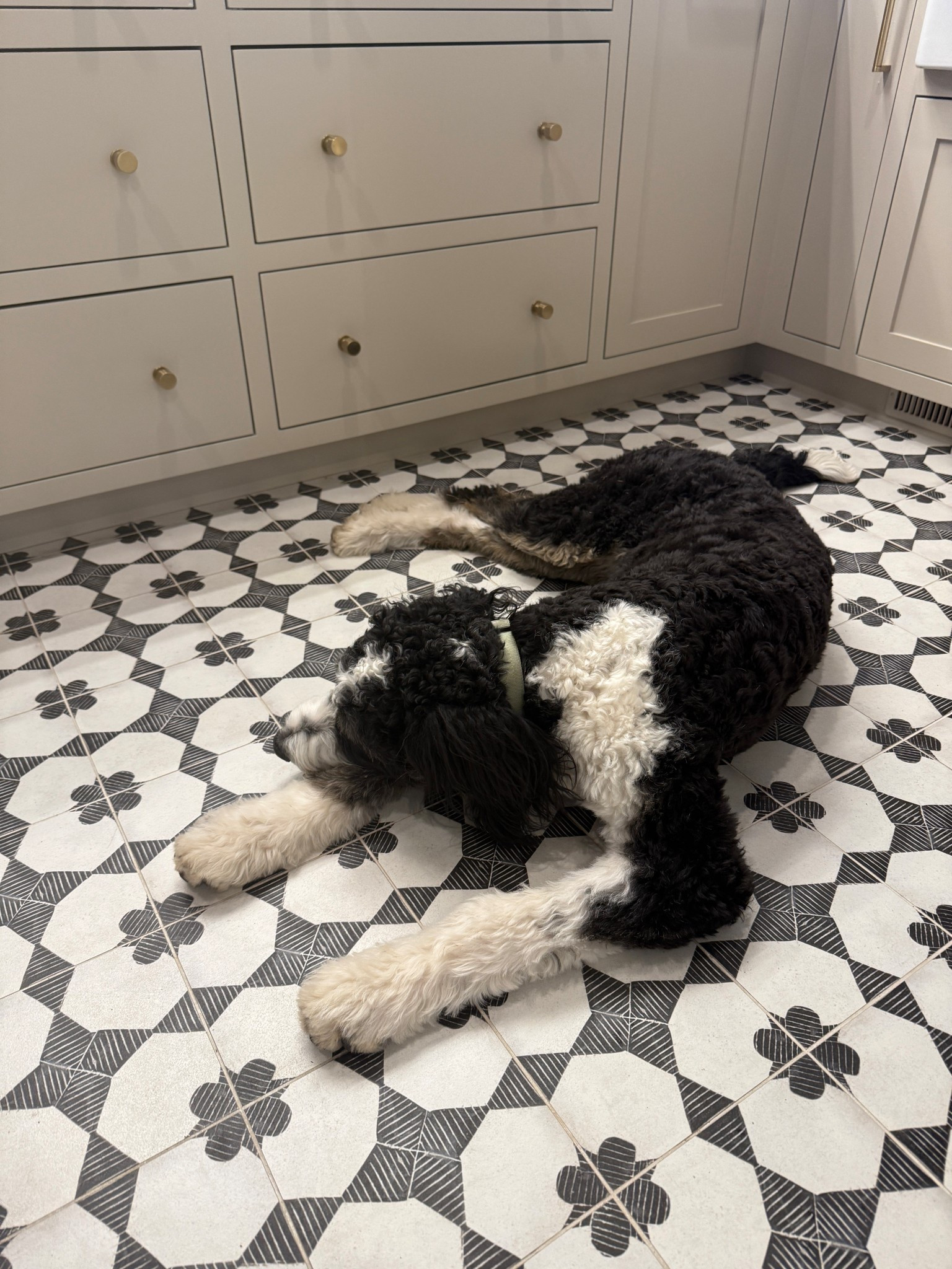 Linking some of my pantry essentials and favorite runners for all seasons.

#LTKStyleTip #LTKHome