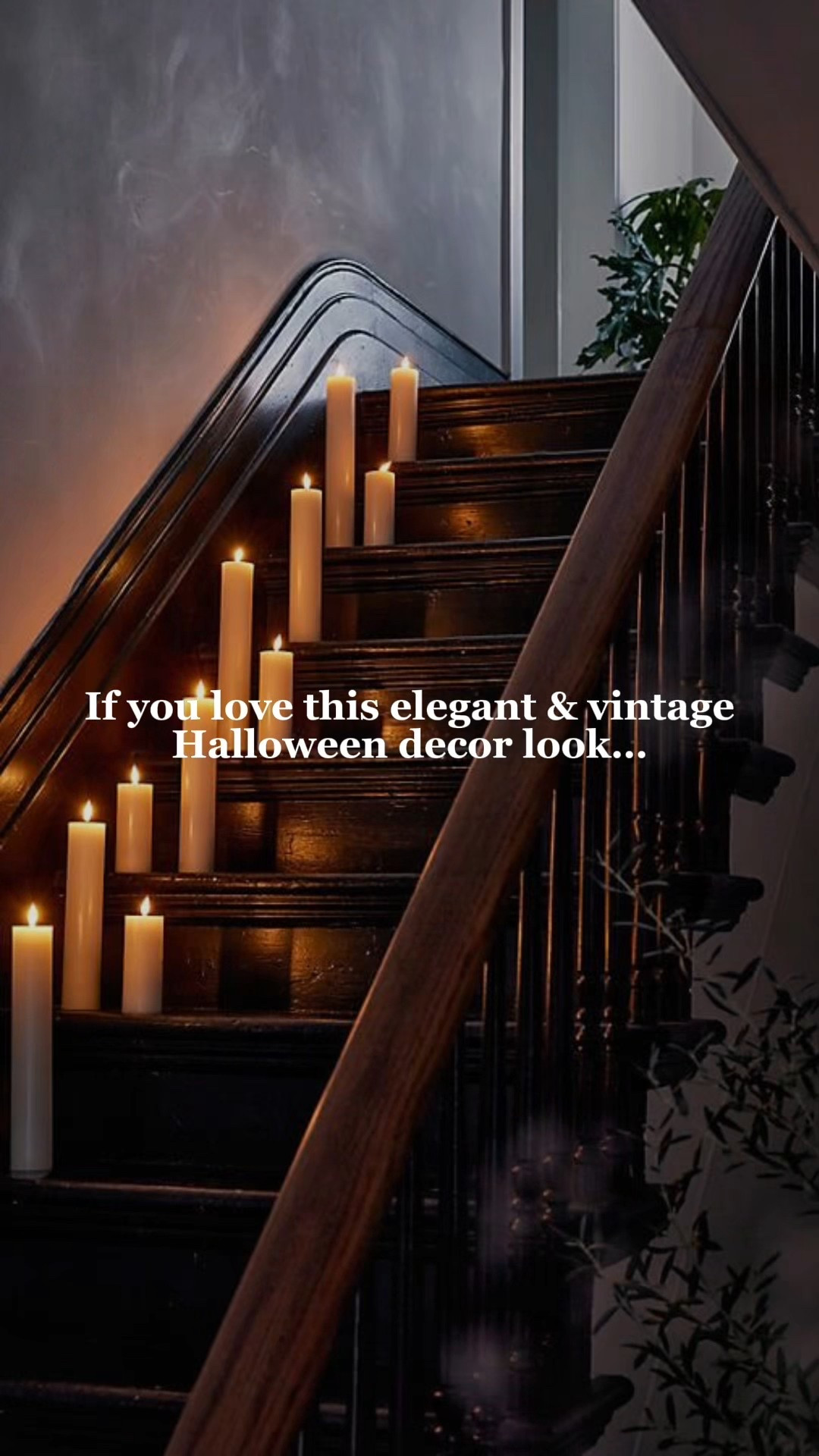 Halloween is in just 10 days — make sure your house is ready for the big day! We found the perfect elegant & vintage Halloween decor (that can be used for more than just Halloween 😉) so get decorating for the spookiest day of the year! Candelabras & pumpkins & witchy paintings, oh my! 

#LTKHalloween #LTKHome #LTKSeasonal