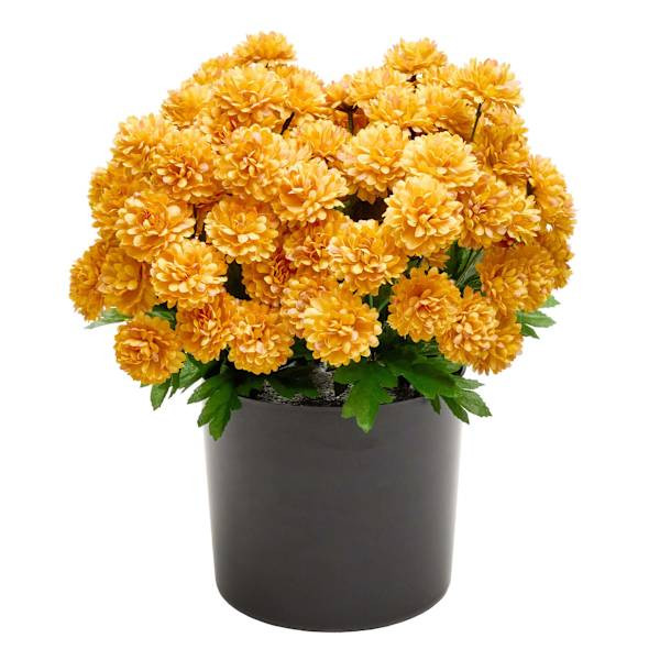 Yellow Mum Arrangement, 16" | At Home