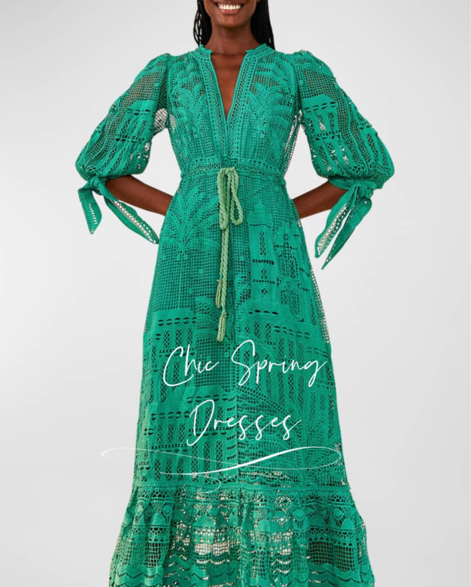 chinese dress ladies Vivarium Vines Lace Guipure A-line Midi Dress