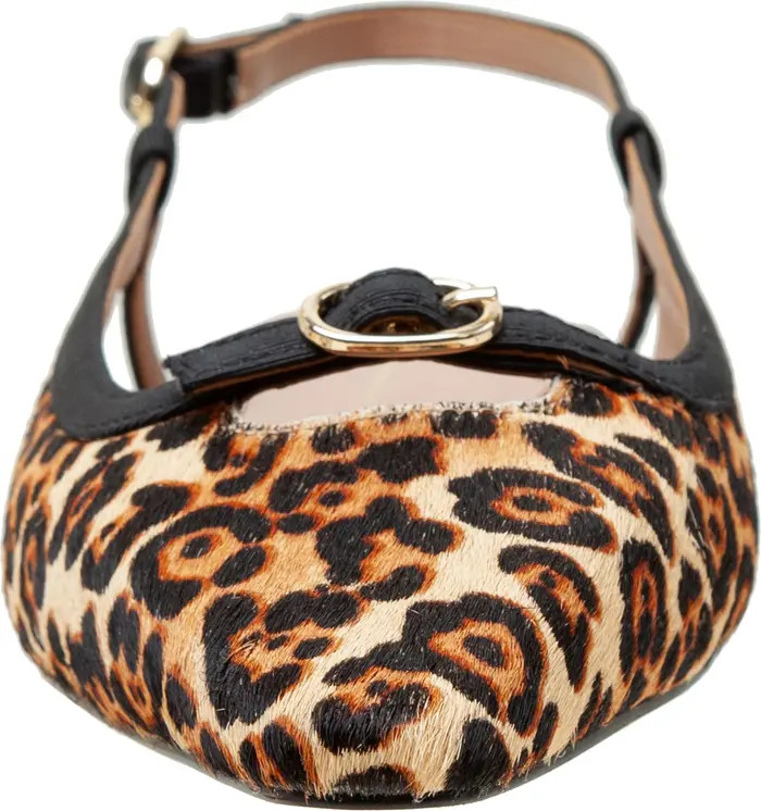 Cassidy Pointed Toe Slingback Flat (Women) | Nordstrom