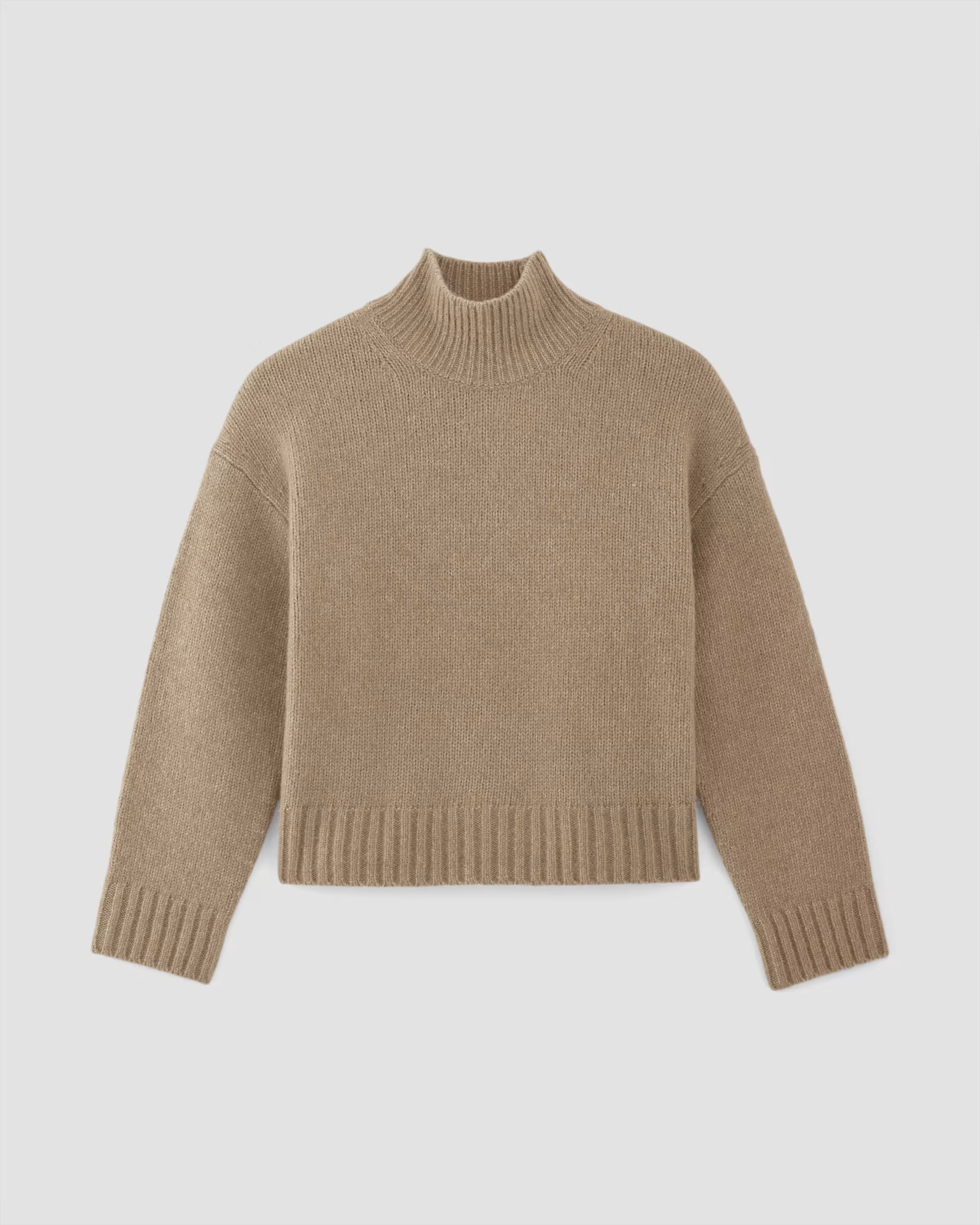 The Cloud Oversized Turtleneck | Everlane