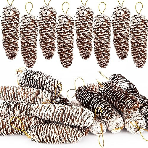 JOHOUSE 18PCS Snow Pinecone Ornaments, Large Spruce Pinecones Hanging Pinecones for Decorating Natural Pine Cones for Christmas Tree Hanging Decoration, Winter Vase Filler | Amazon (US)