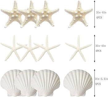 Starfish and Scallop Shells for Crafts 12PCS, Large Seashells 3"-4" Bulk Sea Shells for Decor Kid... | Amazon (US)