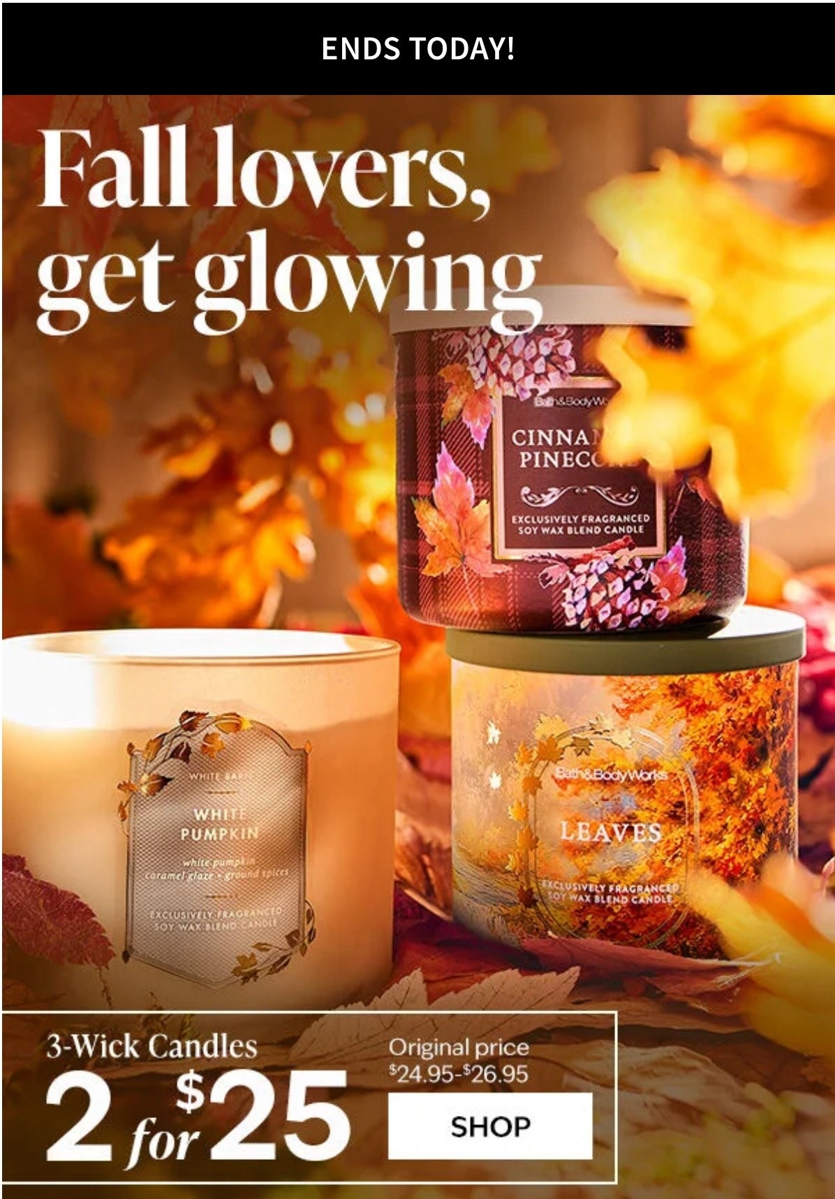 Run before it’s too late! #falldecor

#LTKSeasonal #LTKFallSale