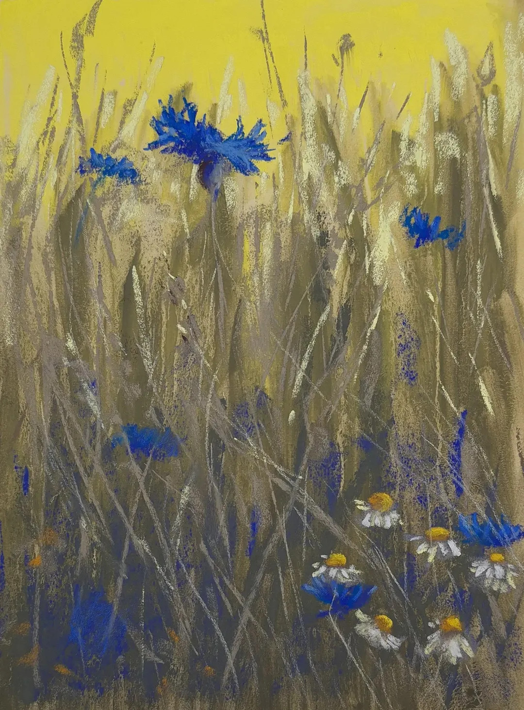 Fine Art Print - Cornflower and Chamomile | Etsy (Global)