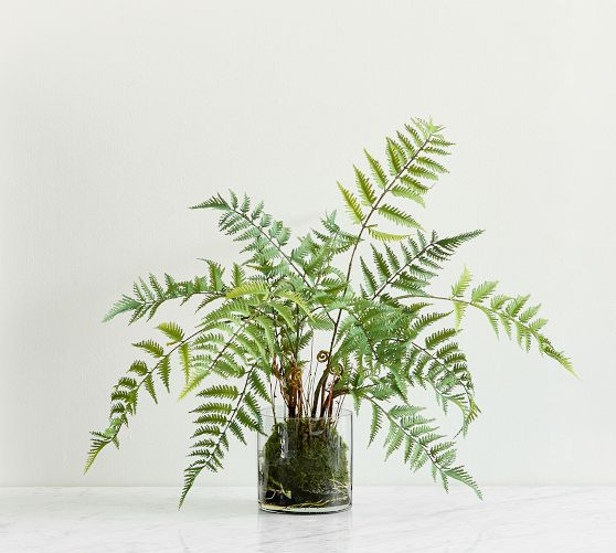 Faux Small Glass Composed Fern | Pottery Barn (US)