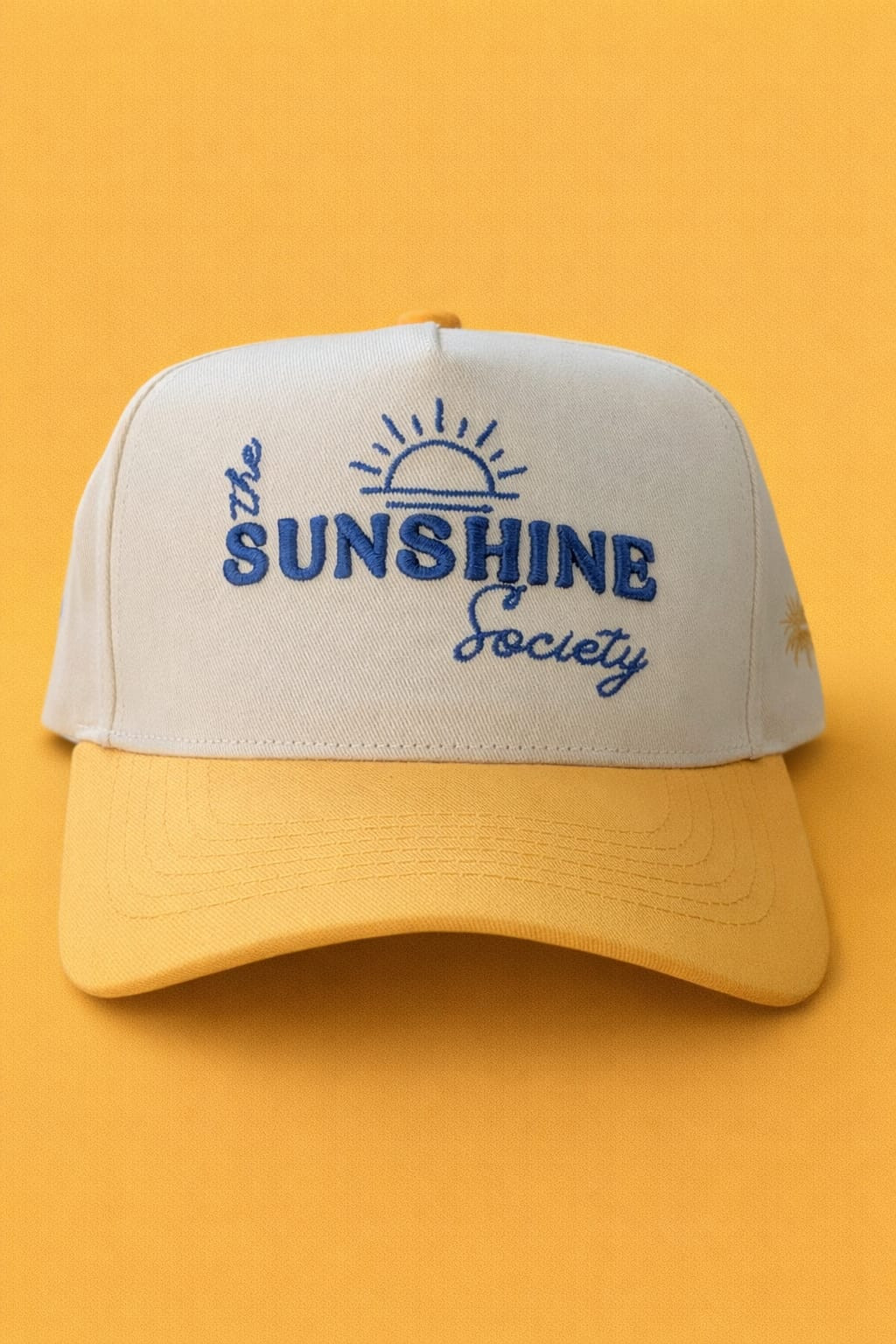 THE SUNSHINE SOCIETY HAT | Tomorrow's Memories Club