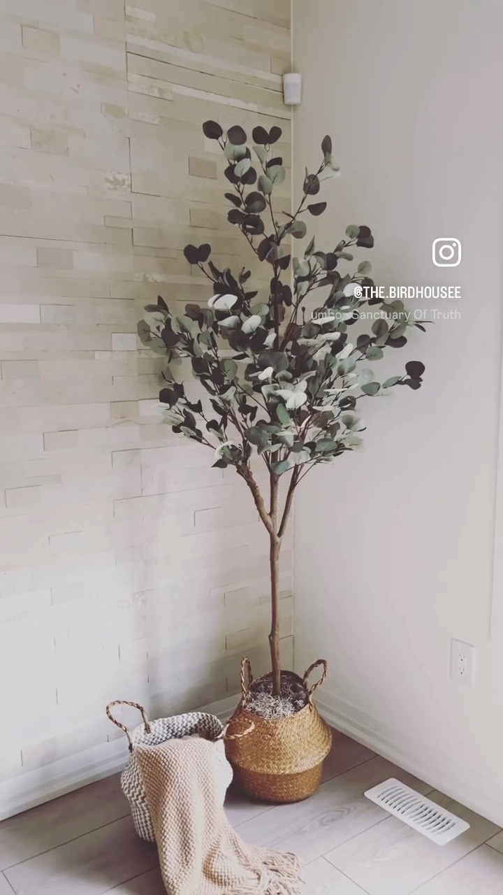 My beautiful tree in my living room! ✨

#LTKhome #amazonfinds 

#LTKcanada #LTKstyletip