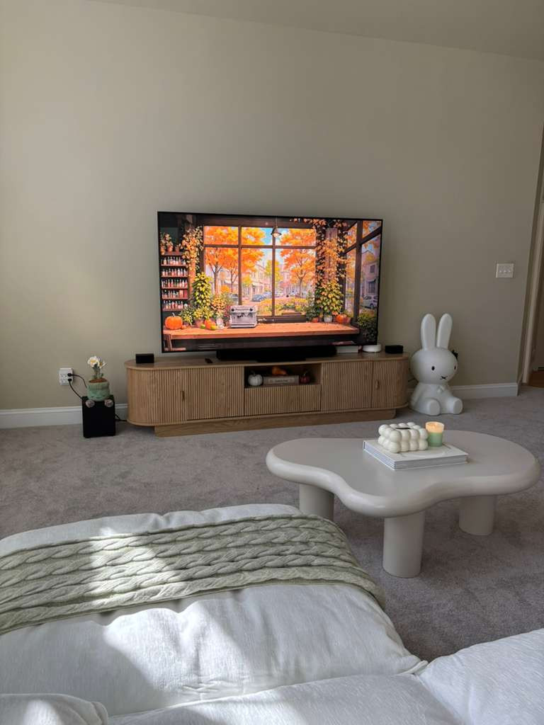 TV set up 📺💫
 

 

#LTKHome #LTKStyleTip #LTKPets