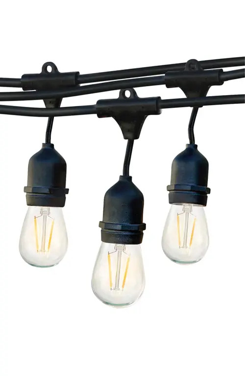 Brightech 24 ft or 48 ft, Plug‑In Heavy Duty Incandescent Glow Outdoor String Lights, Weatherproof Glass Bulbs in Black at Nordstrom | Nordstrom