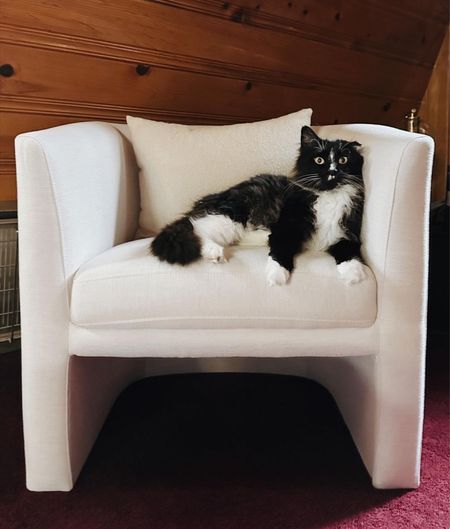 Of course, the black cat in my house wants to sit on the white chair… You better believe I am constantly cleaning and vacuuming off black hair from this because he has truly decided that this chair is his 

#LTKhome