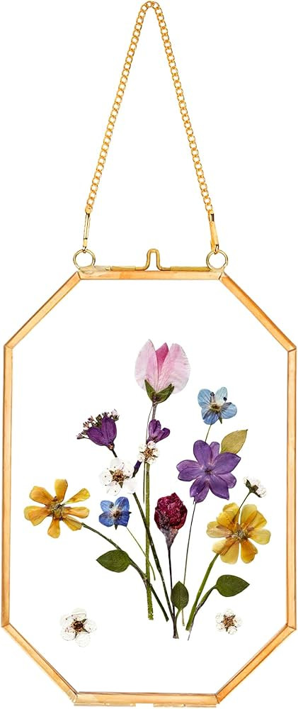 REDHUGO 4x6 Inches Pressed Flower Frames, Glass Floating Frames for Display Dried Plant Specimen ... | Amazon (US)