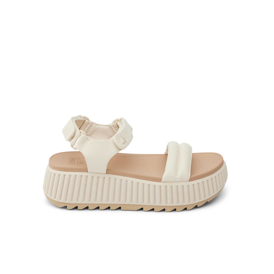 Vista Higher Raya | REEF