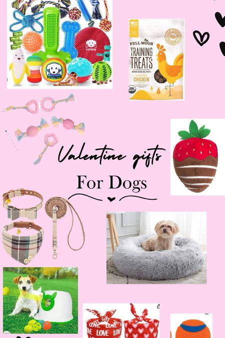 Of course if your dog moms like us you have to spoil your dog with cute valentines stuff! 

#LTKSeasonal #LTKMostLoved #LTKGiftGuide