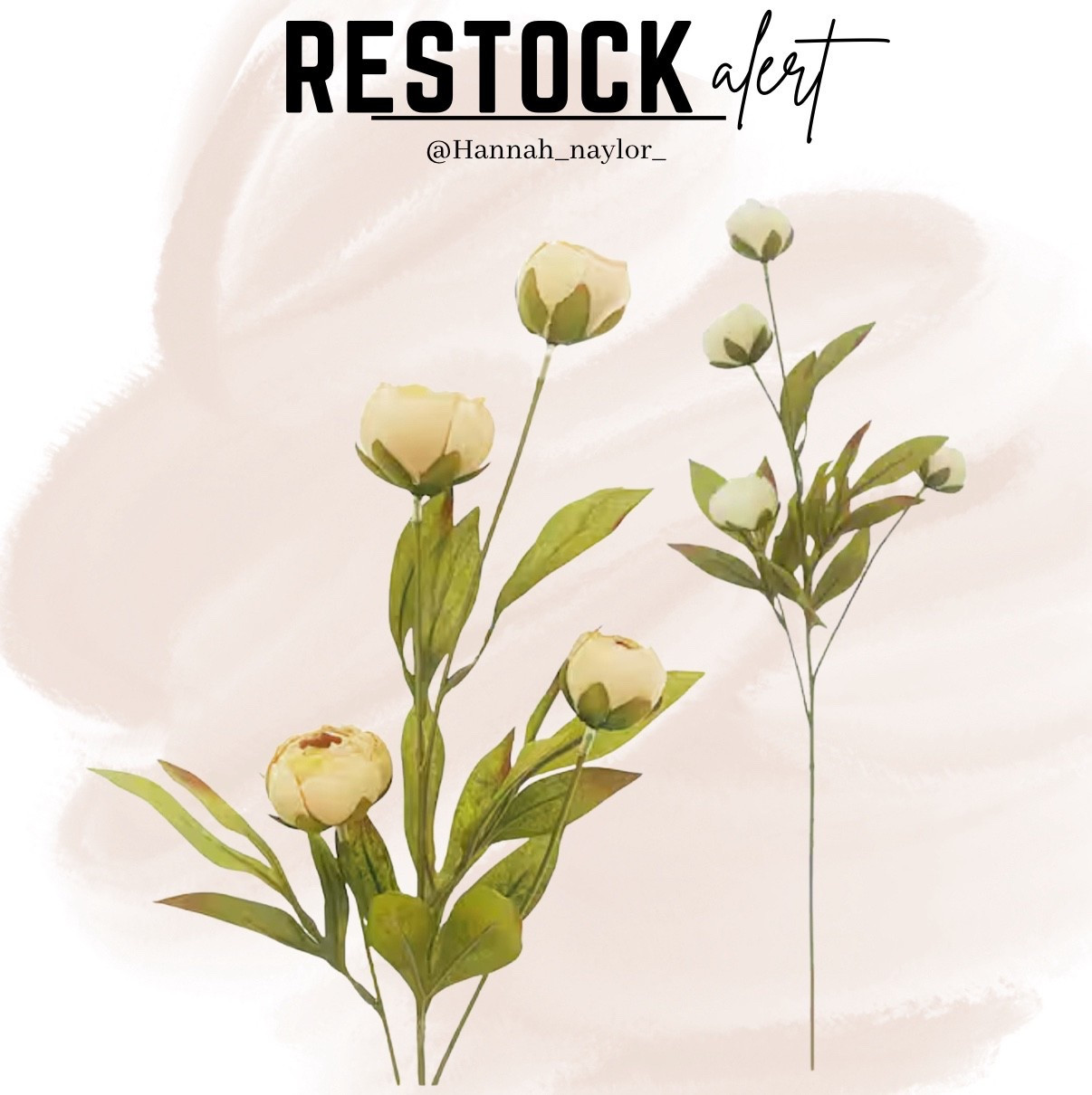 RESTOCK ALERT ‼️ These peonies are back in stock in both cream & tan. They are also currently 20% off! Buy them now, save for later! #peonies #restockalert 

#LTKU #LTKSeasonal #LTKHome