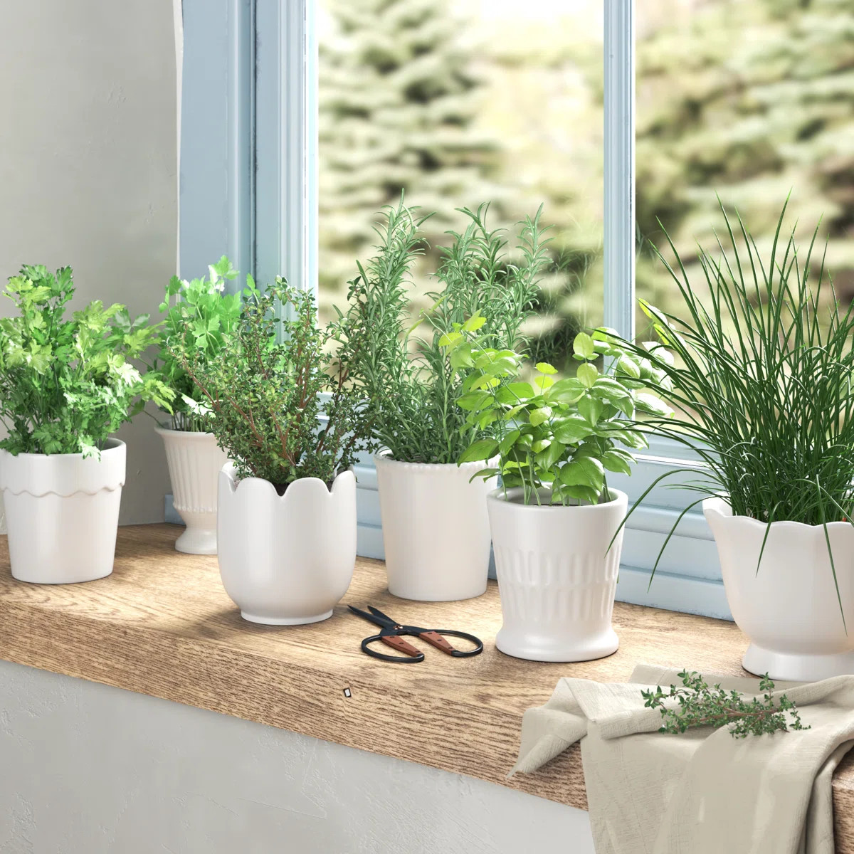 Ceramic Cachepot | Wayfair North America