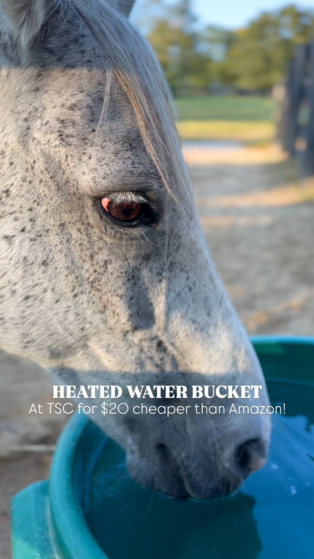 Heated Water Bucket - a game changer for the winter months with your horses & other farm animals! 🐴 

Comes in multiple sizes! 💦

Tractor Supply Find 

#LTKSeasonal