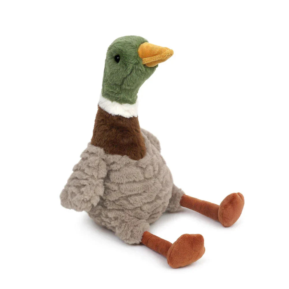 River Mallard Duck | The Horseshoe Crab