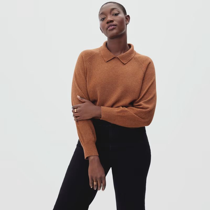 The Cashmere Collared Sweater | Everlane