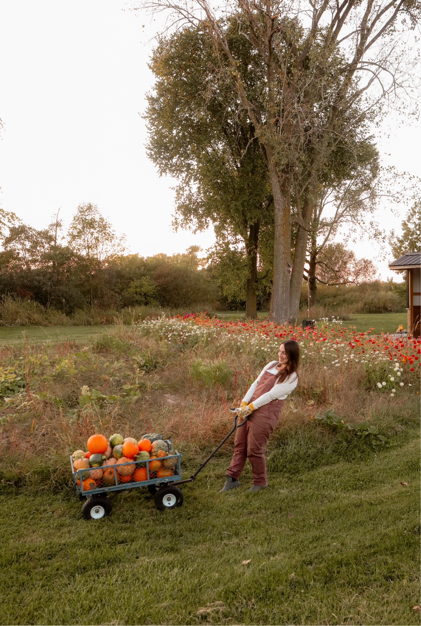 The best garden cart and garden overalls. 

#LTKSeasonal #LTKHome