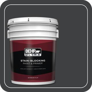 5 gal. Home Decorators Collection #HDC-MD-04 Totally Black Flat Exterior Paint & Primer | The Home Depot