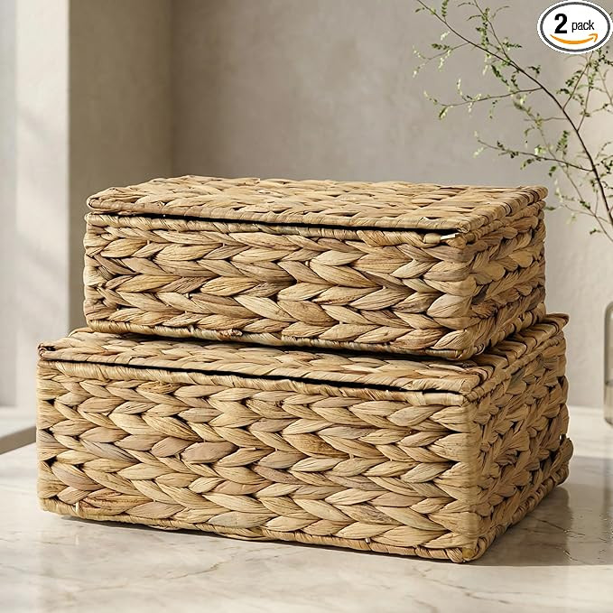 ZICOTO Decorative Storage Boxes with Lids - Set of 2 Beautiful Wicker Organizer Bins for Your Boo... | Amazon (US)